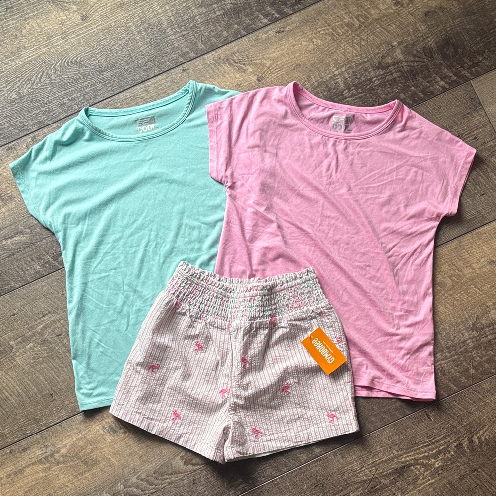 2 Gymboree tops and Pink & Mint shorts with flamingos
